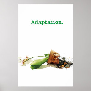Póster Adaptación Película de 2002
