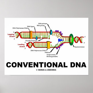 Póster ADN convencional Humor de biología molecular