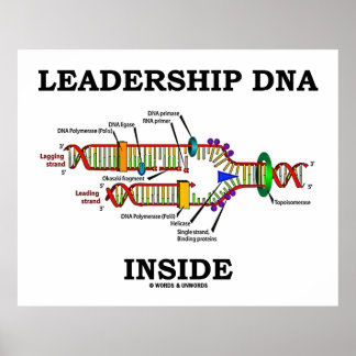 Póster ADN de liderazgo interno (actitud de biología)