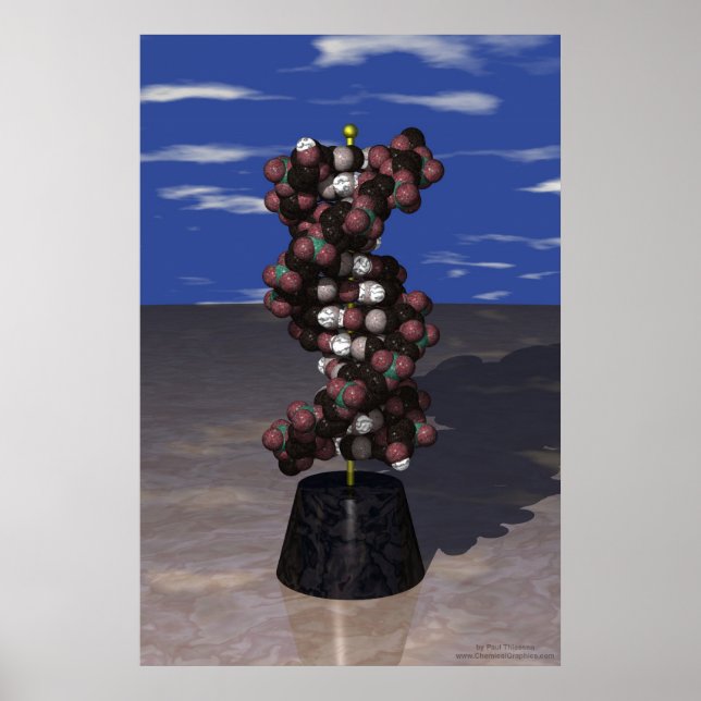 Póster ADN en una base (Frente)