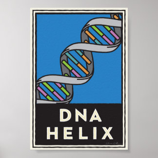 Póster ADN Helix
