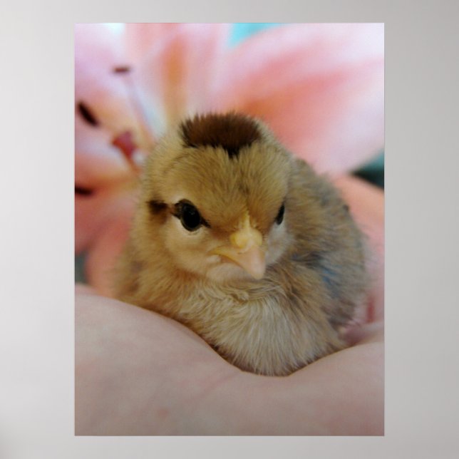 Póster Adolescente en mano (Frente)