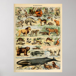 Póster Adolphe Millot Animales