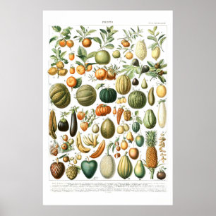 Póster Adolphe Millot Fruits Poster