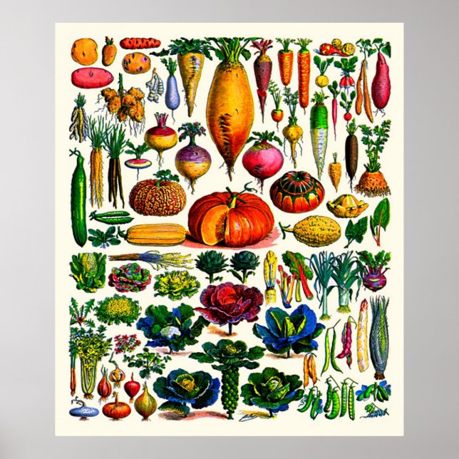 Póster Adolphe Millot ~ Verduras (Frente)