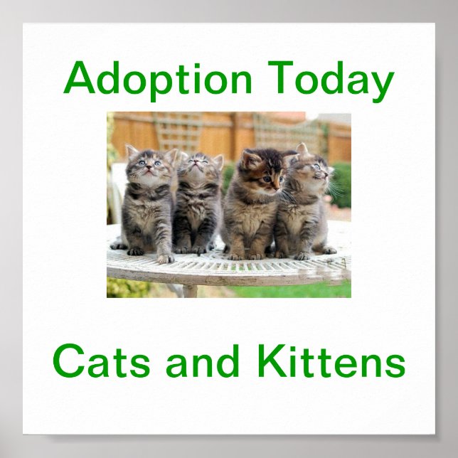Póster Adopción de gatos y gatitos hoy en Rótulo (Frente)