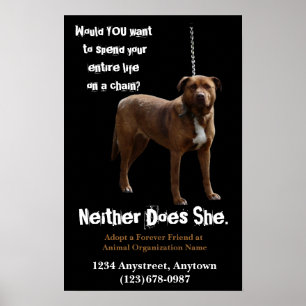 Póster Adopción y rescate de los derechos de los animales