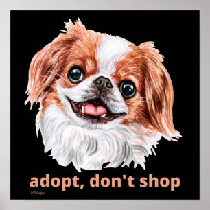 Póster ADOPT, NO COMPRAR (chino japonés) lindo perro