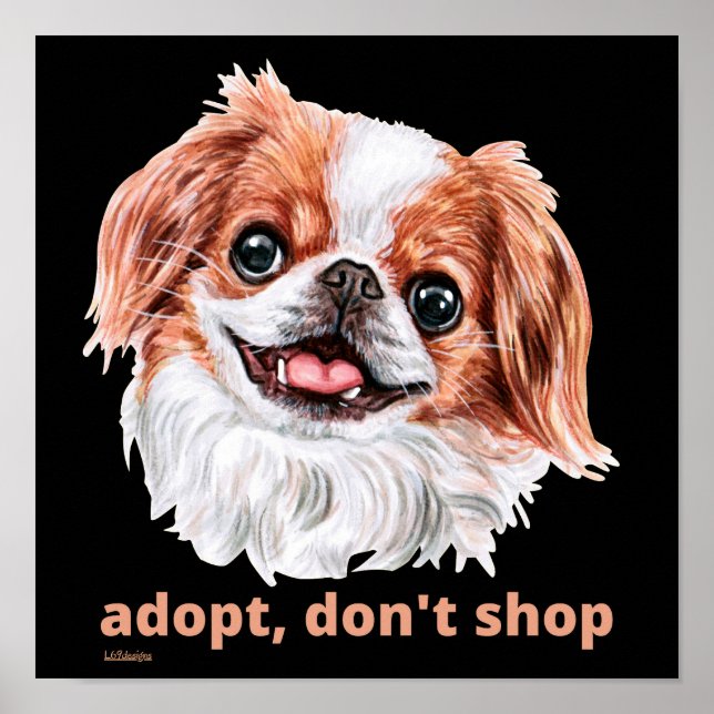 Póster ADOPT, NO COMPRAR (chino japonés) lindo perro (Frente)
