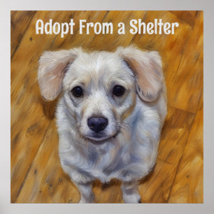 Póster Adopta a un Poster de perros adorno