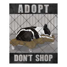 Adopta No Compres