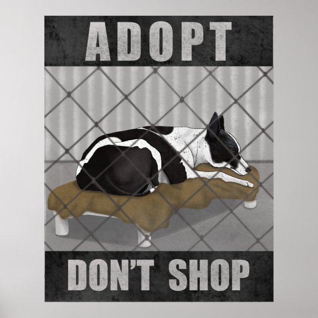 Póster Adopta No Compres (Frente)