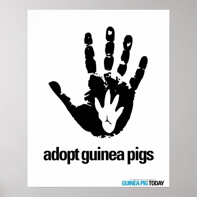 Póster Adoptar al Poster de Cerdos de Guinea - Cerdo de G (Frente)