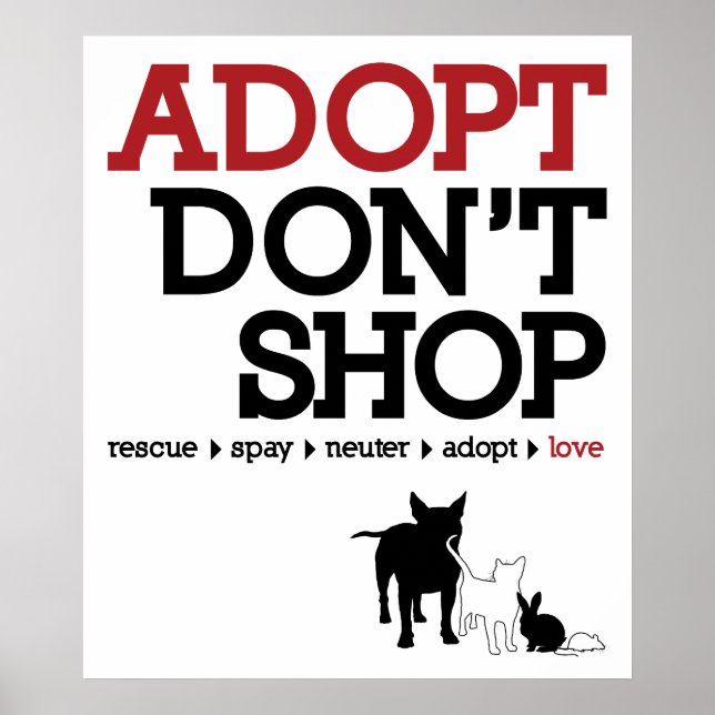Póster Adoptar no comprar (Frente)
