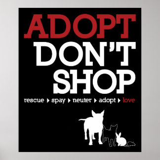 Póster Adoptar no comprar