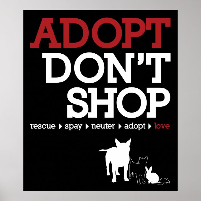 Póster Adoptar no comprar (Frente)