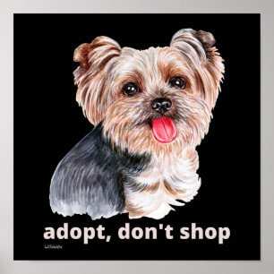 Póster ADOPTAR, NO COMPRAR (Yorkshire Terrier) lindo perr