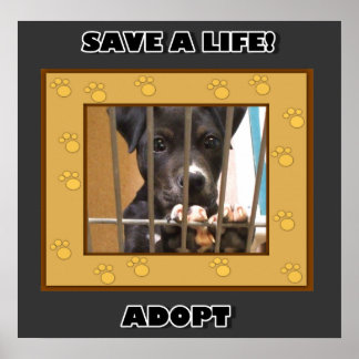 Póster Adoptar un poster de cachorros