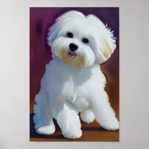 Póster Adorable Bichon Havanese Puppy Watercolor