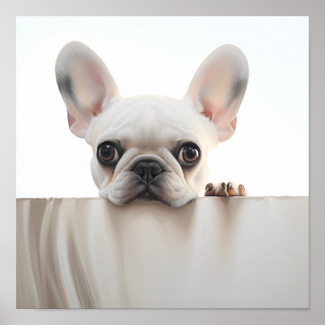 Póster adorable bulldog francés fotográfico (Frente)