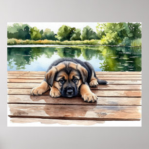 Póster Adorable cachorro descansando en un muelle de made