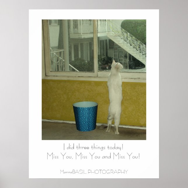 Póster ¡Adorable cartel de Te Echo de Menos! (Frente)