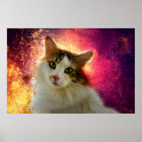 Adorable Cute Calico Cat