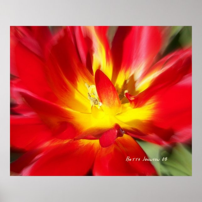 Póster ¡Adorable en llamas! (Frente)