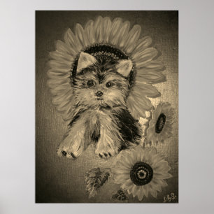 Póster Adorable Yorkshire Terrier con girasoles