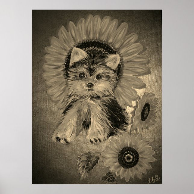 Póster Adorable Yorkshire Terrier con girasoles (Frente)