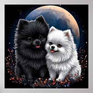 Póster Adorables cachorros de Pomerania negros y blancos