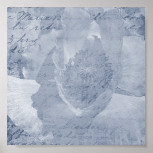 Póster Adormidera 2