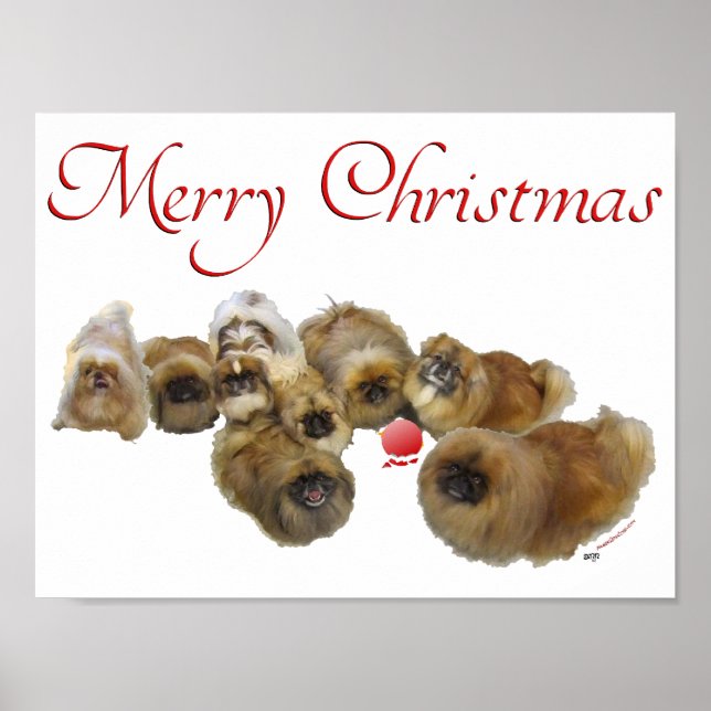 Póster Adorno de Navidad de Pekín (Frente)