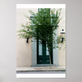 Póster adquisición de la naturaleza