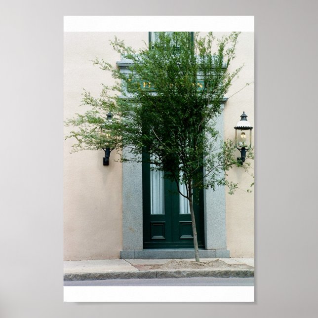 Póster adquisición de la naturaleza (Frente)