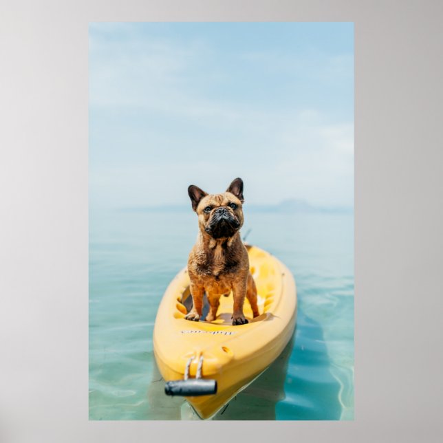 Póster Adult brown French bulldog standing on kayak (Frente)