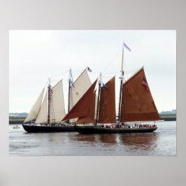 Póster Adventure and Roseway