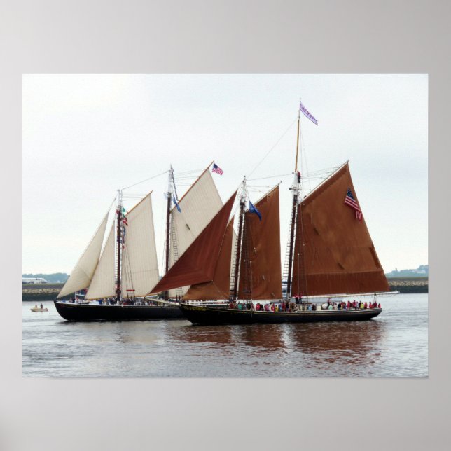 Póster Adventure and Roseway (Frente)