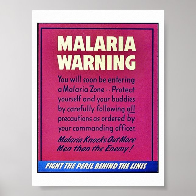 Póster Advertencia sobre la malaria (Frente)