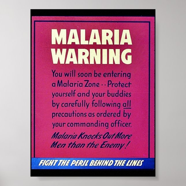 Póster Advertencia sobre la malaria (Frente)