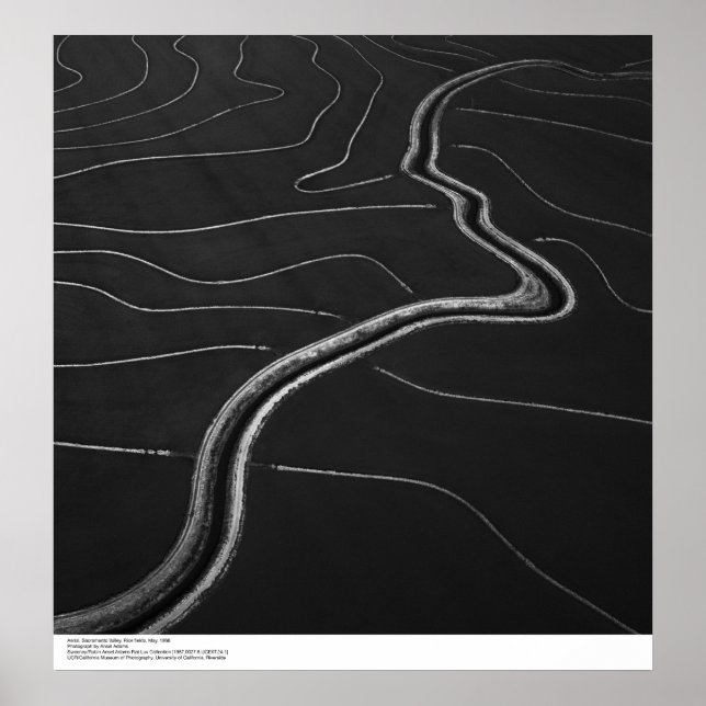 Póster Aerea, Valle de Sacramento, Campos de arroz Mayo,  (Frente)