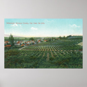 Póster Aerial View of Town, Sonoma County from the Hill