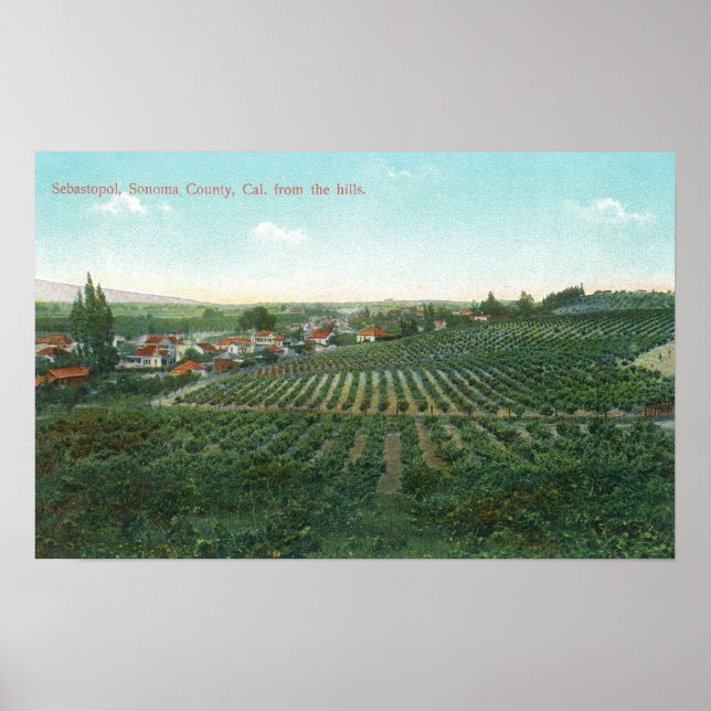 Póster Aerial View of Town, Sonoma County from the Hill (Frente)