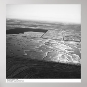 Póster Aerials, Valle de Sacramento, Campos de arroz, may