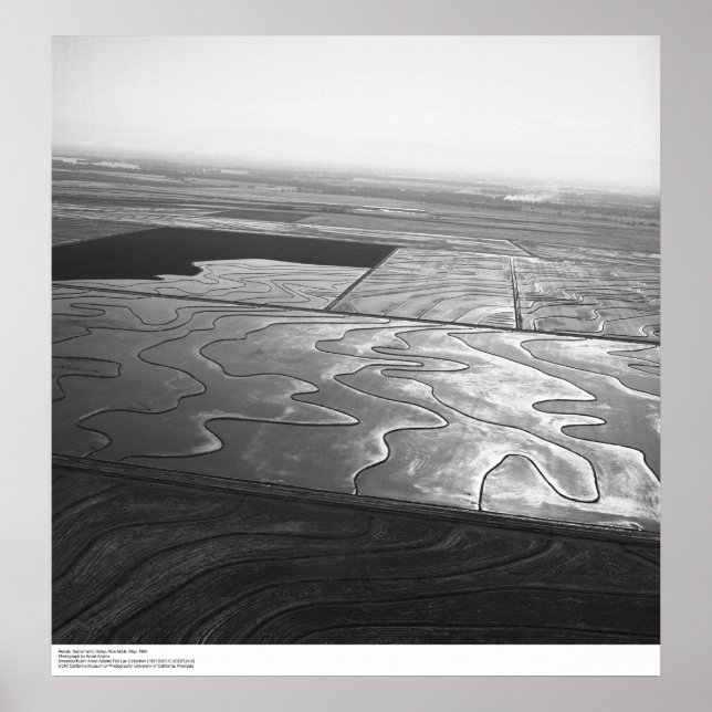 Póster Aerials, Valle de Sacramento, Campos de arroz, may (Frente)