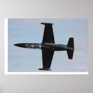 Póster Aero- albatros L-39