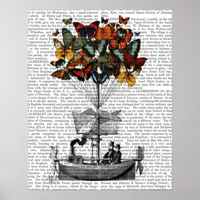 Póster Aeronave de mariposa (Frente)