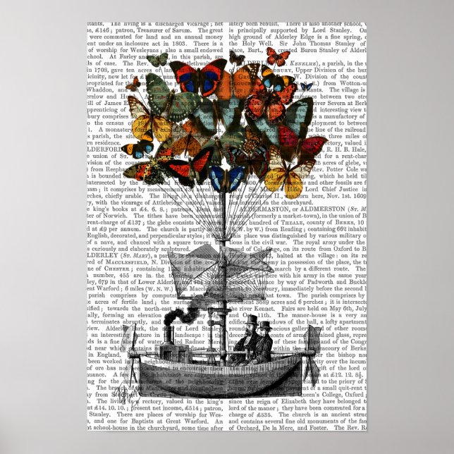 Póster Aeronave de mariposa (Frente)