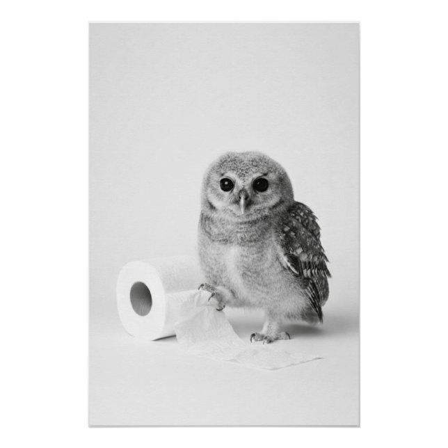 Póster Aesthetic Minimalist Baby Owl Holding Toilet Paper (Anverso)