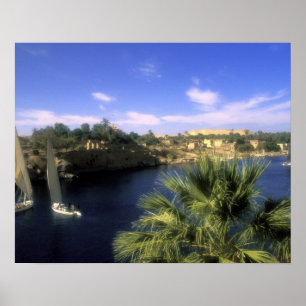 Póster AF, Egipto, Alto Egipto, Asuán. Río Nilo,